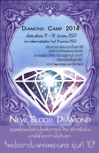 Diamond Camp 2014